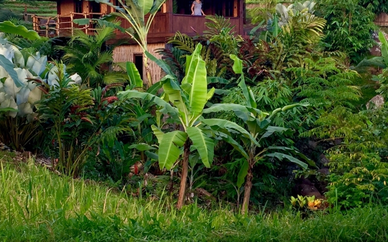 Little Padi Bungalow