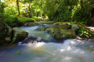 Pure spring water stream through Bali Eco Stay